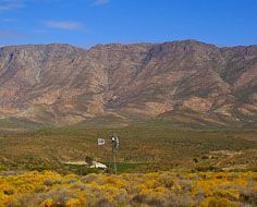 A typical Klein Karoo (Little Karoo) landscape near Barrydale on Route 62.