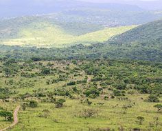 Landscape in the Hluhluwe-Umfolozi Game Reserve in South Africa's KwaZulu-Natal province.