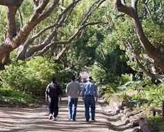 Visitors strolling in a section of the Kirstenbosch National Botanical Gardens in Cape Town.