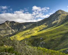 The view of the surrounding mountains from a viewpoint on the Outeniqua Pass outside George, linking it to the Klein Karoo in the interior.