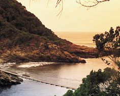 On of three pedestrian suspension bridges at Storms River Mouth on South Africa's Garden Route.