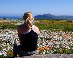 A visitor takes in the wildflower spectacle in the West Coast National Park, about an hour's drive from Cape Town. August is your safest bet to see the veld flower in the Park, elswhere on the West Coast or in Namaqualand.