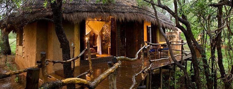 Makalali Private Game Reserve - guest chalet
