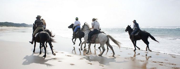 St. Lucia beach horse-riding
